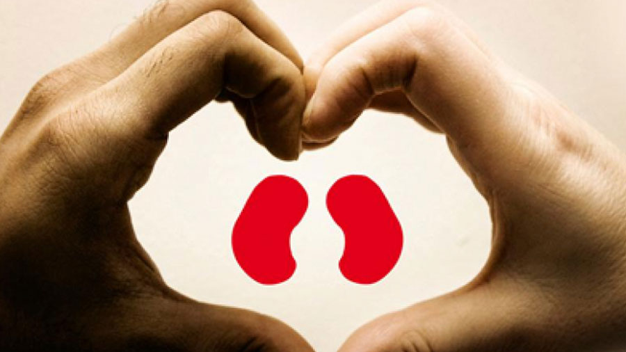 About kidney problems